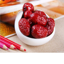 Лучшие свежие китайские красные сушеные финики на продажу